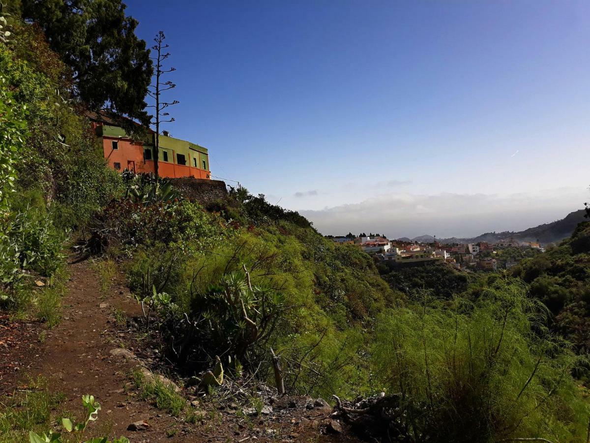 Camino Art House Lägenhet Vega de San Mateo Exteriör bild